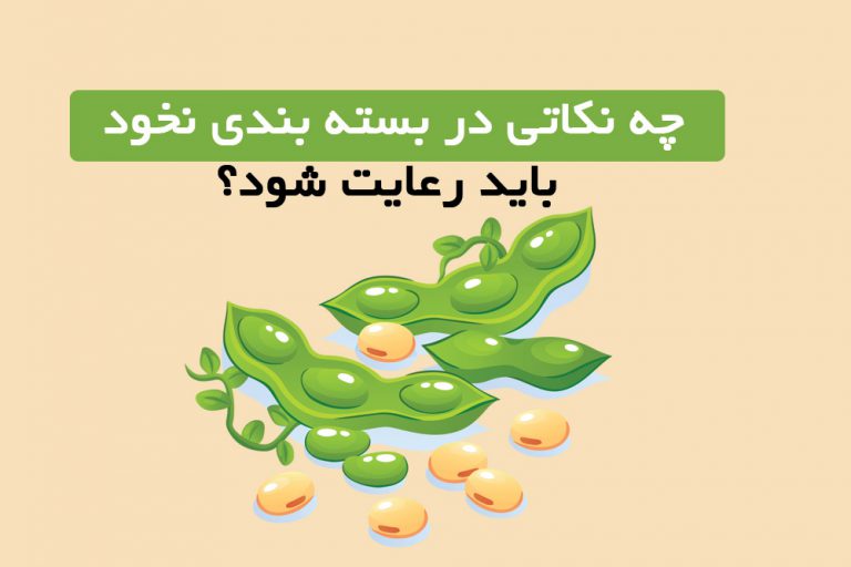 نحوه بسته بندی نخود و نکات آن