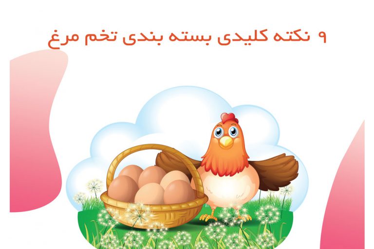 بسته بندی تخم مرغ