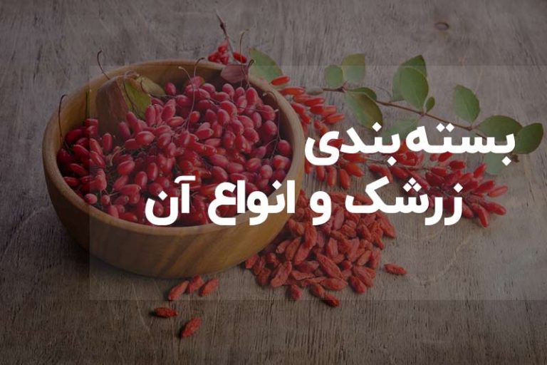 بسته بندی کارتن زرشک