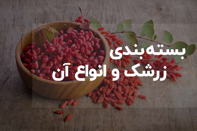 بسته بندی کارتن زرشک